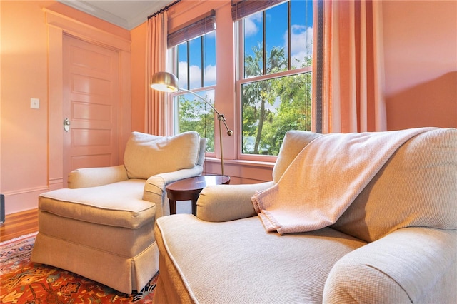 sitting room with wood finished floors, a healthy amount of sunlight, and baseboards