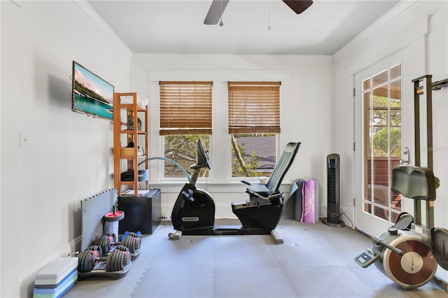 exercise room featuring ornamental molding and a ceiling fan