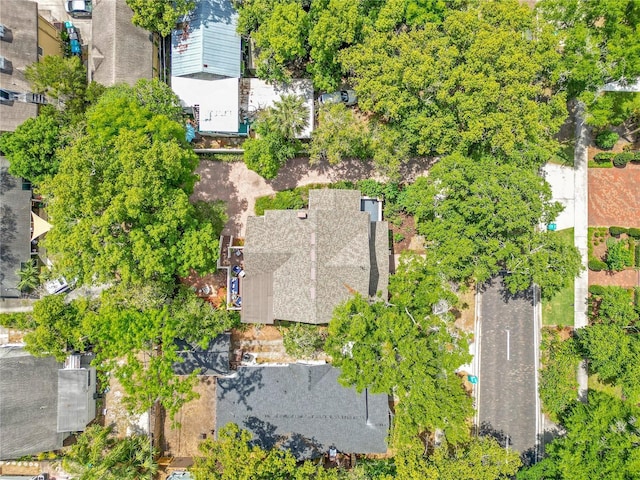 bird's eye view