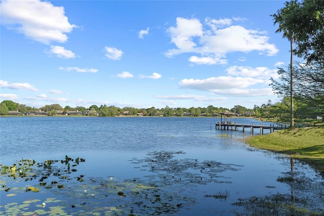 water view with a dock