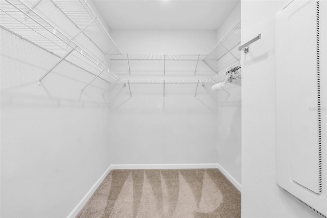 2172 Sherbrook Ave, Davenport, FL 33837 - walk in closet featuring carpet floors