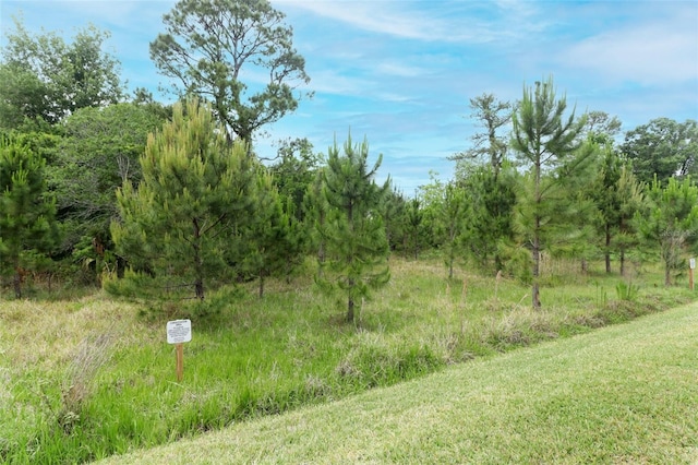 view of local wilderness