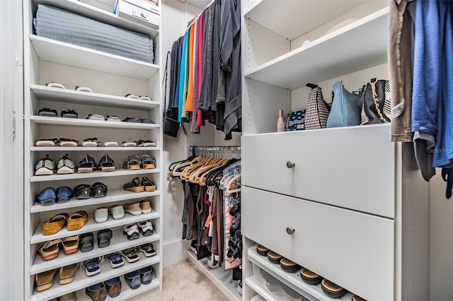 spacious closet with carpet