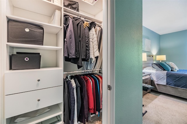 spacious closet with carpet floors