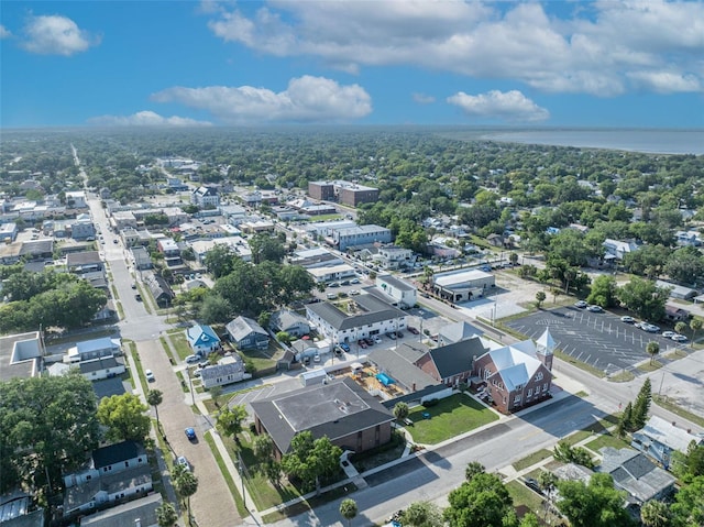 1110 Virginia Ave, Saint Cloud, FL 34769 - bird's eye view