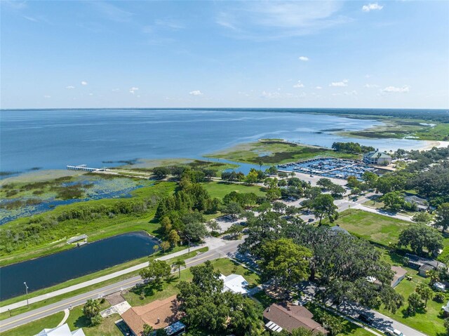 1110 Virginia Ave, Saint Cloud, FL 34769 - drone / aerial view with a water view