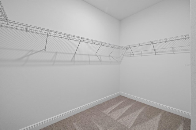 walk in closet with carpet