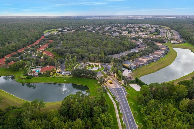 8404 Secret Key Cv, Kissimmee, FL 34747 - birds eye view of property featuring a view of trees and a water view