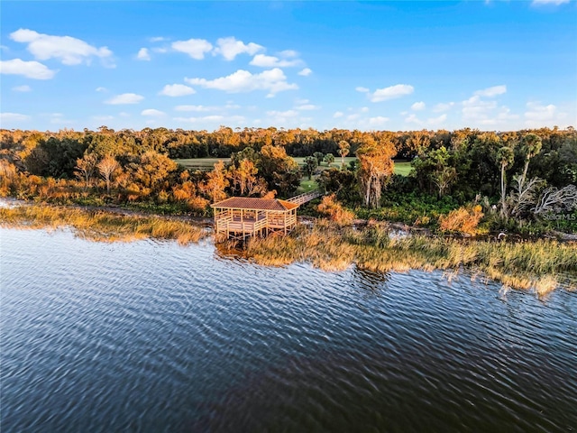water view with a wooded view