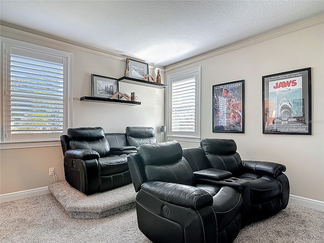 cinema room featuring crown molding, baseboards, and carpet floors