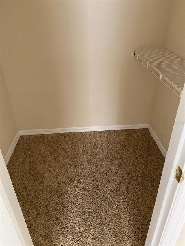 walk in closet featuring carpet floors