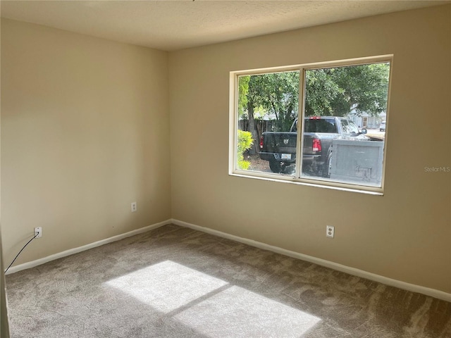 carpeted empty room with baseboards and a wealth of natural light