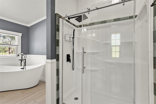 6330 Oil Well Rd, Clermont, FL 34714 - bathroom featuring a shower stall, crown molding, wood finished floors, and wainscoting