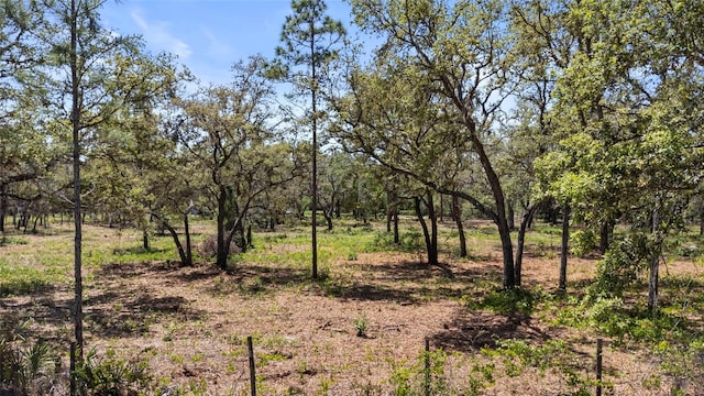 6330 Oil Well Rd, Clermont, FL 34714 - view of nature