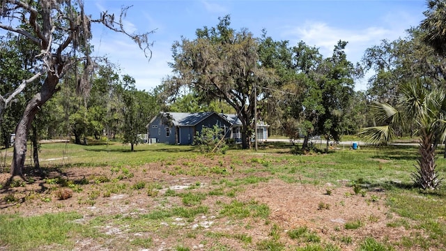 6330 Oil Well Rd, Clermont, FL 34714 - view of yard