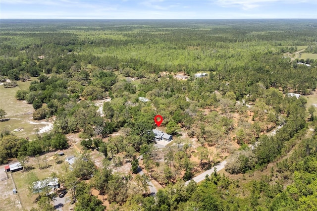 6330 Oil Well Rd, Clermont, FL 34714 - birds eye view of property with a view of trees