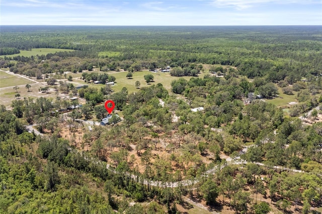 6330 Oil Well Rd, Clermont, FL 34714 - bird's eye view with a wooded view