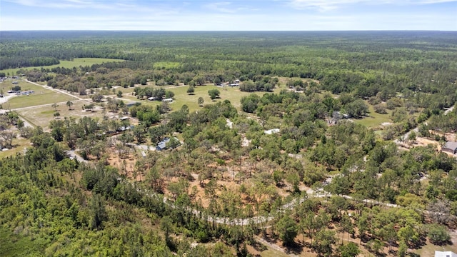 6330 Oil Well Rd, Clermont, FL 34714 - birds eye view of property featuring a wooded view
