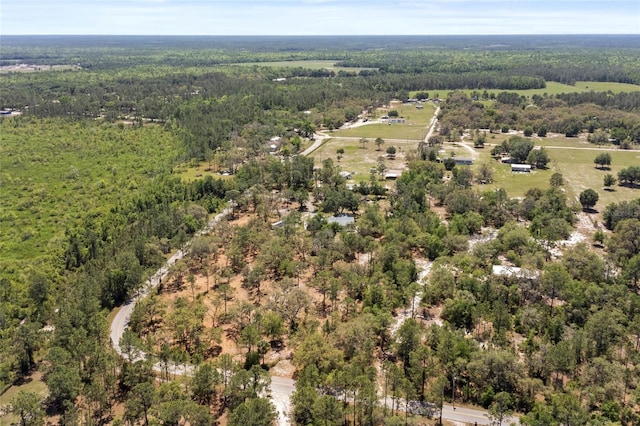6330 Oil Well Rd, Clermont, FL 34714 - birds eye view of property featuring a forest view