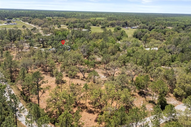 6330 Oil Well Rd, Clermont, FL 34714 - birds eye view of property with a wooded view