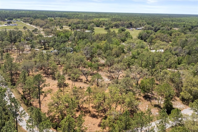 6330 Oil Well Rd, Clermont, FL 34714 - bird's eye view featuring a view of trees