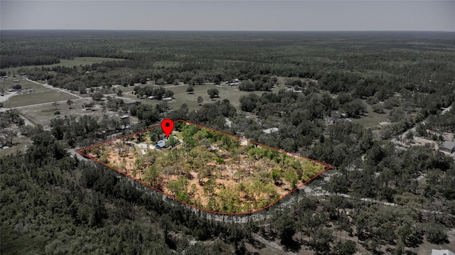 6330 Oil Well Rd, Clermont, FL 34714 - birds eye view of property featuring a wooded view