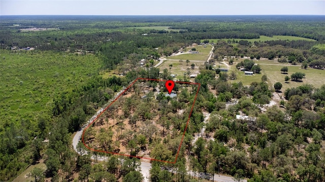 6330 Oil Well Rd, Clermont, FL 34714 - bird's eye view featuring a view of trees