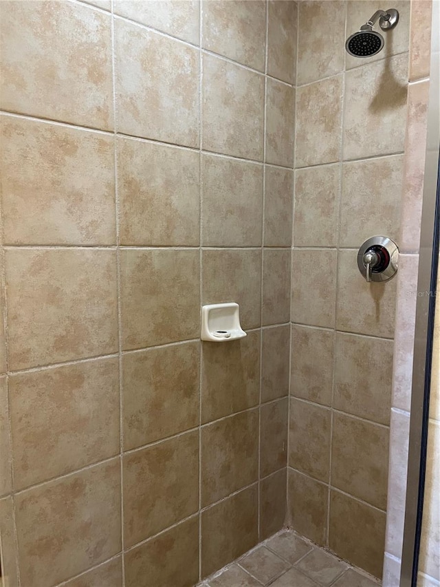 12527 Floridays Resort Dr Unit 311E, Orlando, FL 32821 - full bathroom with a tile shower