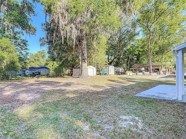 view of yard featuring a patio area, an outbuilding, and a storage shed