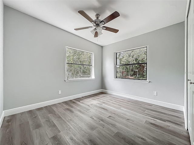 1228 Vantage Dr, Orlando, FL 32806 - photo 21