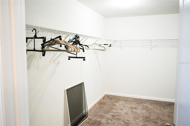 184 Lake Smart Cir, Winter Haven, FL 33881 - spacious closet featuring carpet flooring