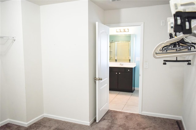 184 Lake Smart Cir, Winter Haven, FL 33881 - walk in closet featuring light carpet and a sink