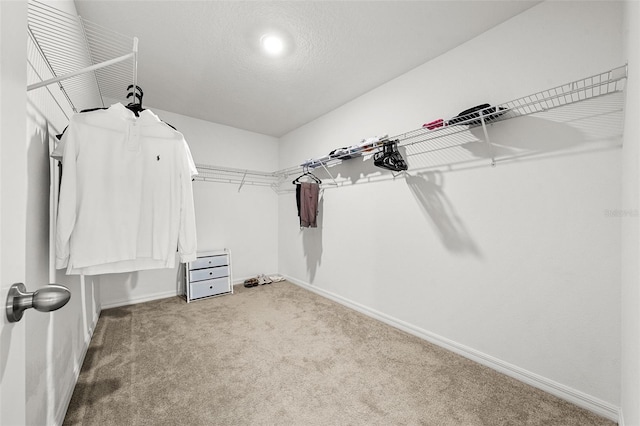 walk in closet featuring carpet flooring