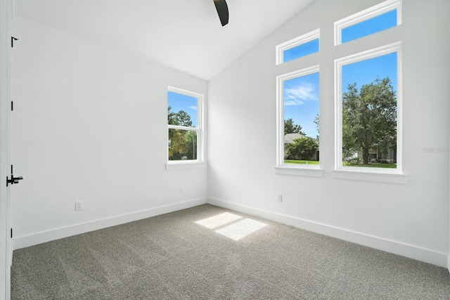 15 Ulmus Pl, Palm Coast, FL 32164 - photo 38