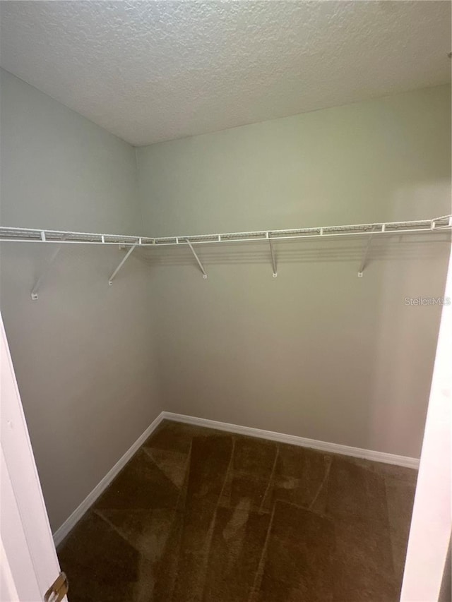 2125 Betsy Ross Ln, Saint Cloud, FL 34769 - walk in closet with carpet