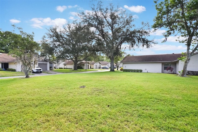 view of yard with driveway and a residential view