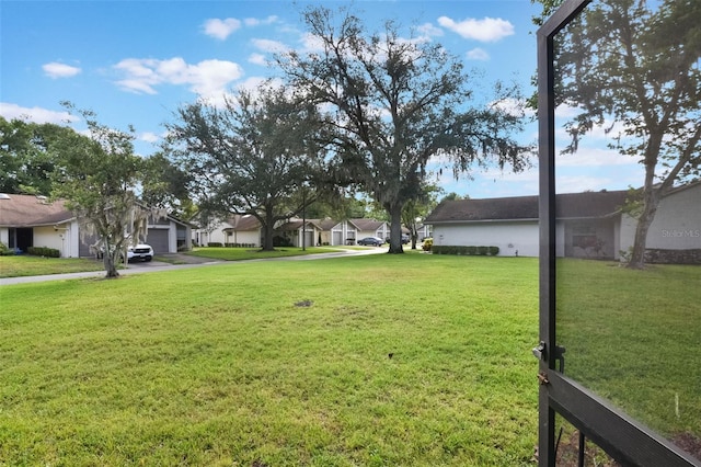 view of yard featuring a residential view and driveway