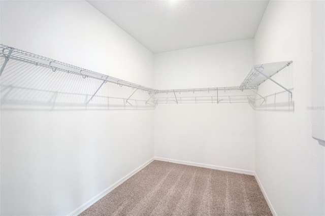 2980 Embark Trl, Saint Cloud, FL 34771 - photo 26