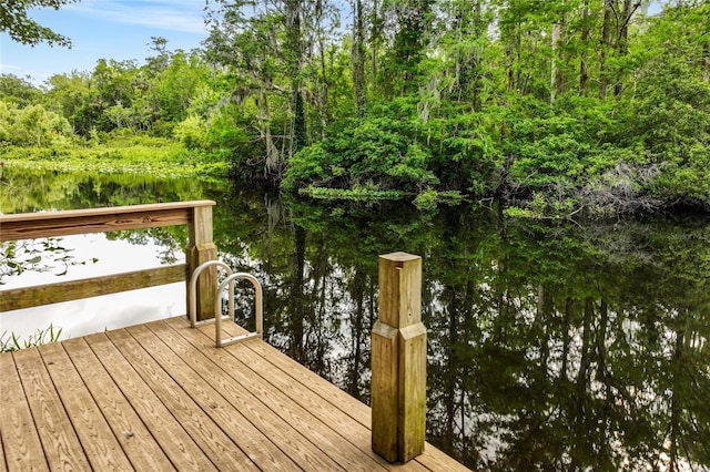 8368 Rambling River Dr, Sanford, FL 32771 - photo 65