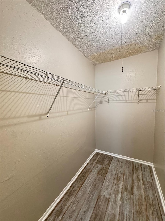 spacious closet featuring wood finished floors