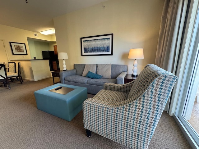 8125 Resort Village Dr Unit 51006, Orlando, FL 32821 - living area with carpet floors, baseboards, and visible vents