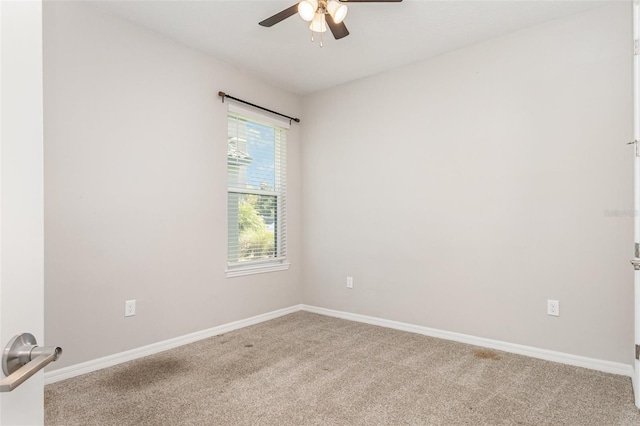 3929 Reed Grass Pl, Kissimmee, FL 34746 - photo 15
