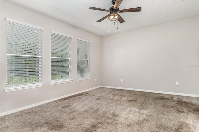 3929 Reed Grass Pl, Kissimmee, FL 34746 - photo 13