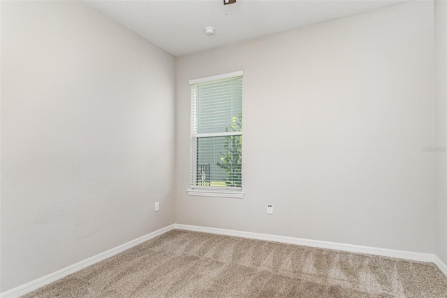 3929 Reed Grass Pl, Kissimmee, FL 34746 - photo 16