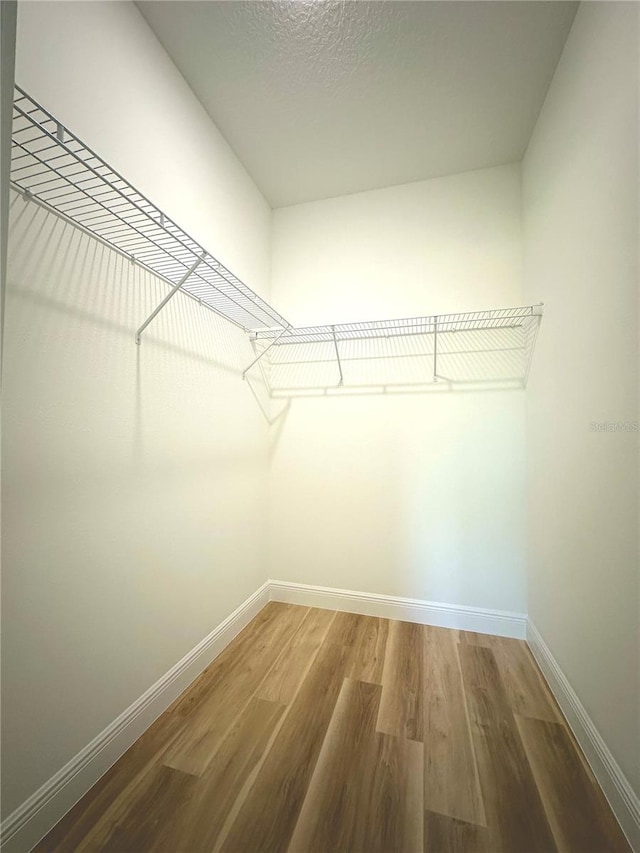 walk in closet with wood finished floors