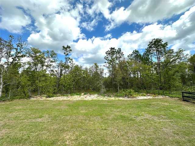 977 W Anderson Ln, Citrus Springs, FL 34434 - view of green lawn