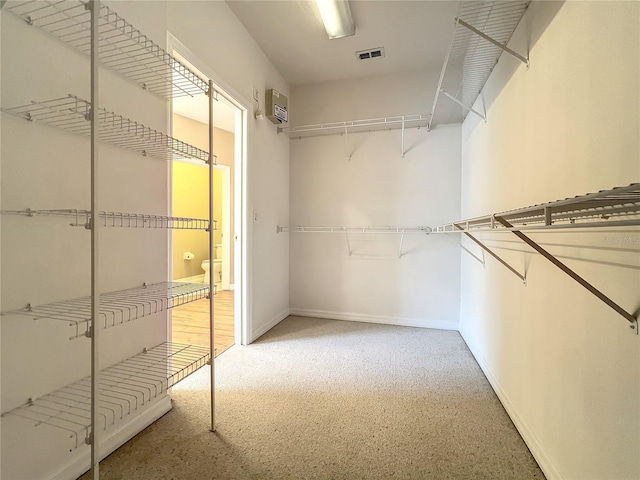 10915 Piping Rock Cir, Orlando, FL 32817 - spacious closet featuring carpet flooring and visible vents