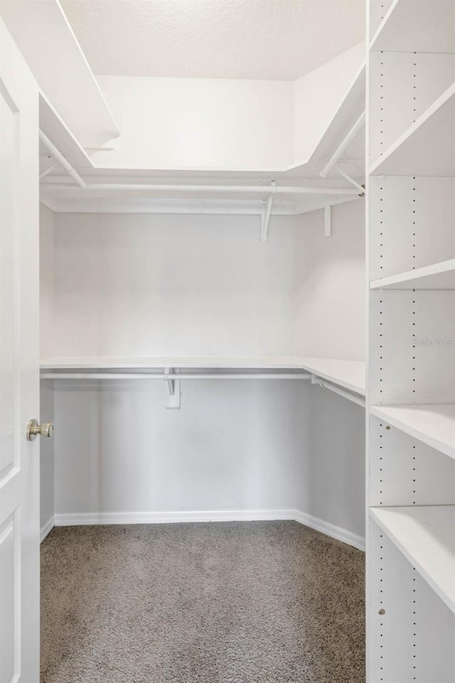 7762 Newlan Dr, Orlando, FL 32818 - spacious closet with carpet