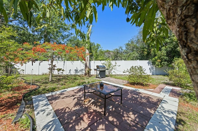 9301 Echo Run, Orlando, FL 32817 - fenced backyard with a patio and grilling area