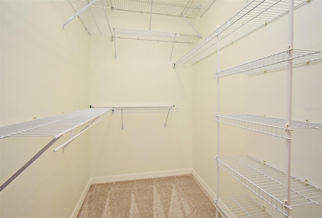 4626 Redmond Pl, Sanford, FL 32771 - walk in closet with light colored carpet